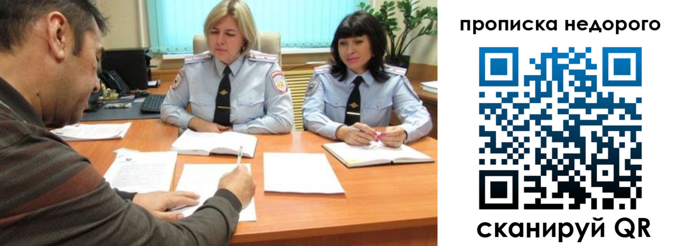 прописка поиск в Козельске